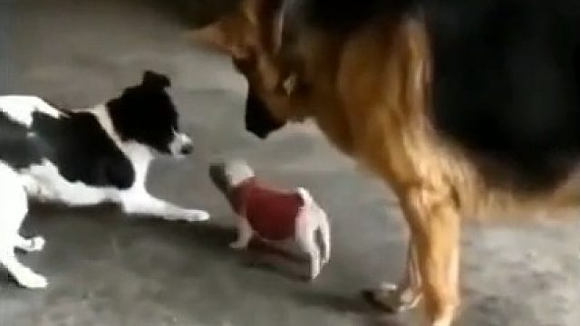 有靠山就是不一样