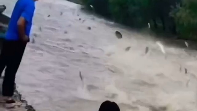 爱钓鱼的人不容易学坏