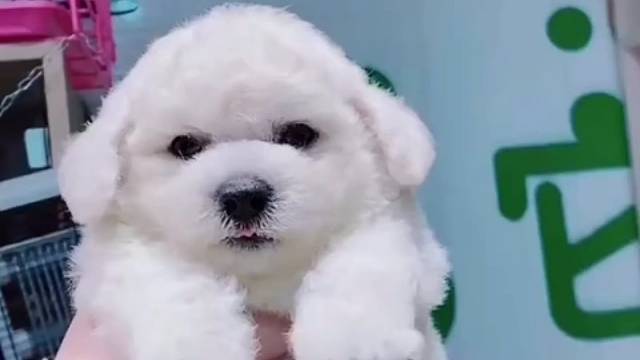 来我直播间有惊喜