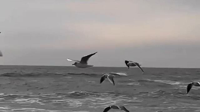 爱你悠，对不起啦