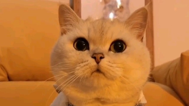 快艾特全世界最可爱的女孩来看