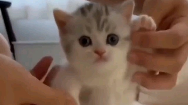 艾特最可爱的女孩看叭