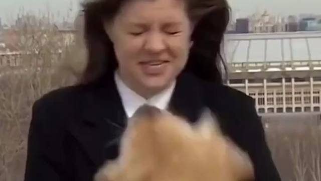 主持人把这辈子最悲伤的事都想了一遍