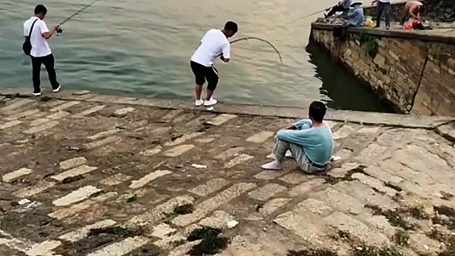 哦豁上了岸的鱼都跑了可惜啊