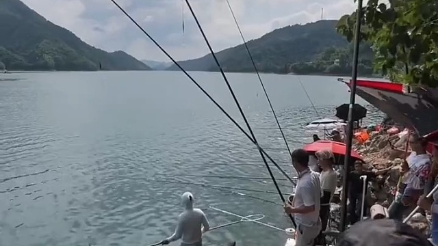 难怪这里这么多人钓经常中巨物了
