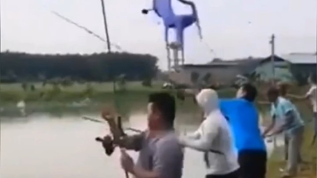 今天这饵料有的大啊