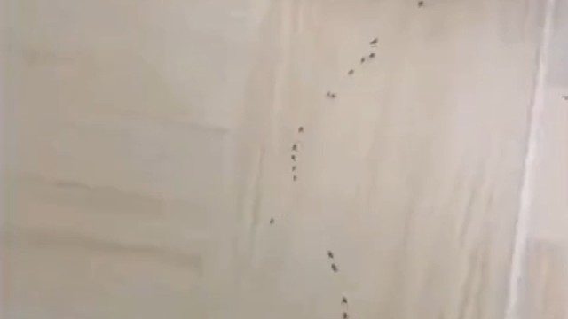 这样做是不是有点太狠了