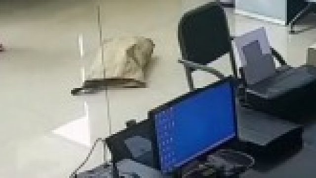 一男子捡到枪带到派出所，气氛紧张