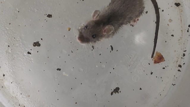 这家伙谁认识啊