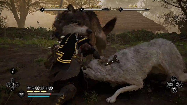 关于主播被咬事件