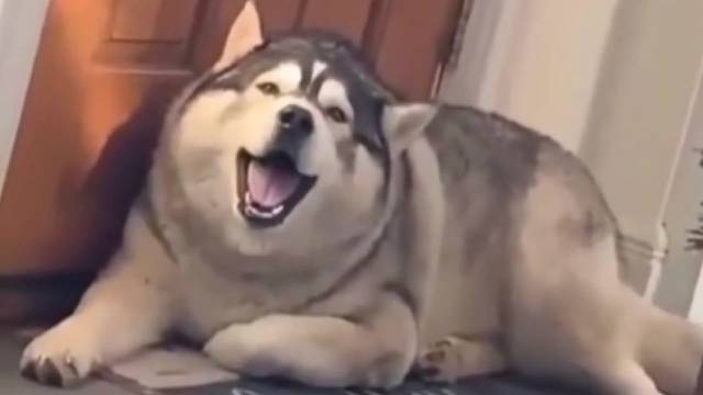 如何使你的邻居感到痛苦！