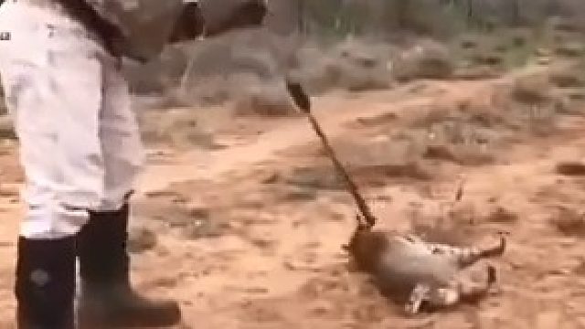 头一天出门就被套了？