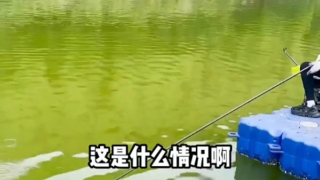 这条鱼不是一般的运气好，没有人比你优秀了