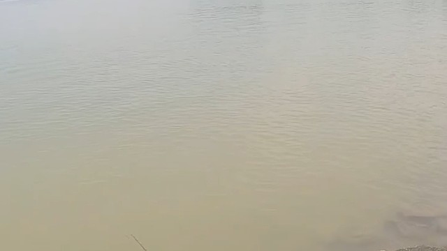 开始以为是王者，却只是个青铜