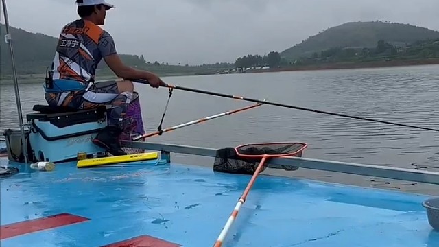 看专业老师控鱼