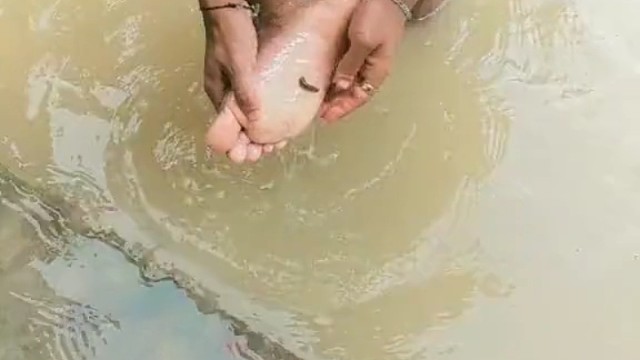 怎么办？在线等，挺着急