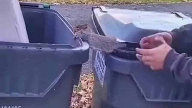 天下武功，唯快不破