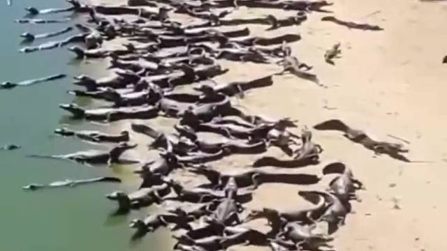 需要禁止游泳标识吗？