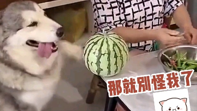 你们不让我吃，我只能自己动手啦