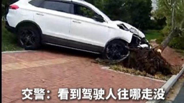 酒驾司机逃逸抵赖演闹剧。网友：跑得了和尚跑不了庙，驾驶证还在车上还想耍赖