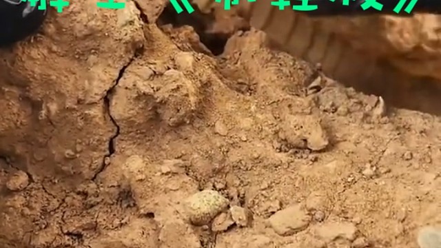 这么脏的鞋，刚从伊拉克穿回来吧