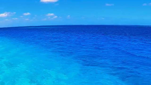 教师节
清风育桃李素谢师恩情
令公桃李满天下何用堂前更种花
传道授业解惑心
谆谆教诲记心中