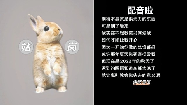 夏天夏天你在哪里留下小秘密/{hj