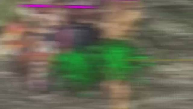 给秋天一个小礼物