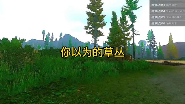 逃离塔科夫:你以为的草丛。