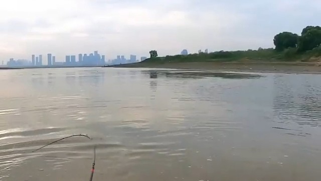 好不容易钓条鱼，当然要溜过瘾