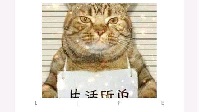 第一天（直播素材）