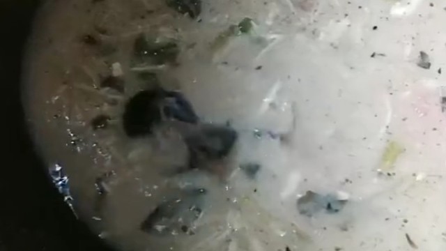 锅里出现2只好家伙