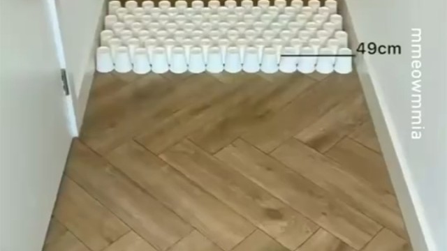 啥意思你这？裁判它是不是作弊？啊？