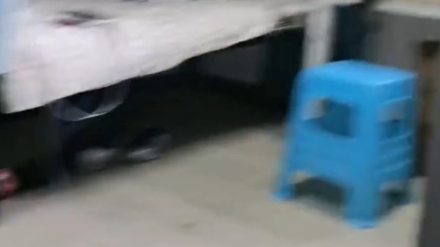 哈哈哈哈多拿点吃的出来吧别饿着咱舍友了[