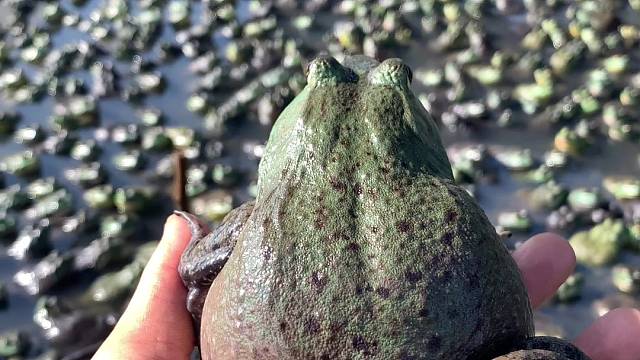 加油负债人，加油90后。