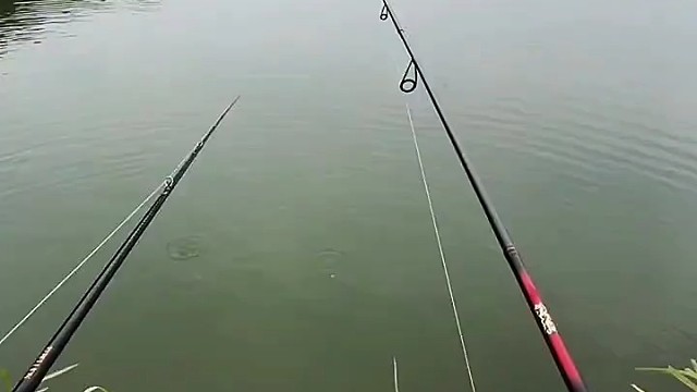 路亚两条杆，鱼货就是爽