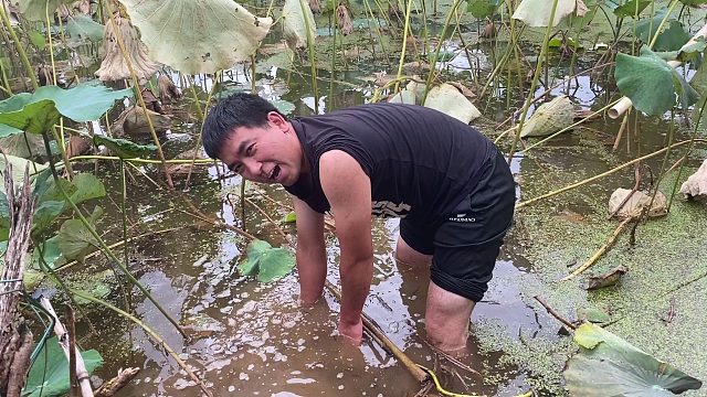 今天回媳妇娘家过中秋节，华一总是闲不住，农村的生活就是实在