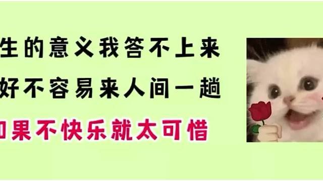 付出足够多的努力，奇迹自然会降临