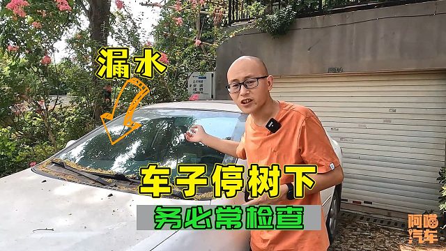 车子经常停树下，这几个地方一定要常检查，一旦漏水很麻烦