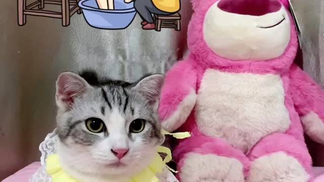 麻麻说养不起我们了，有没有好心人带走我们