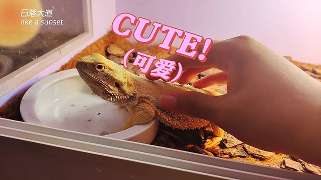 都不知道标题该写什么了