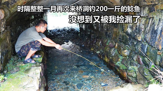 再次来桥洞泉眼钓外面卖200一斤的冷水鲶鱼，没想到又被我捡漏了