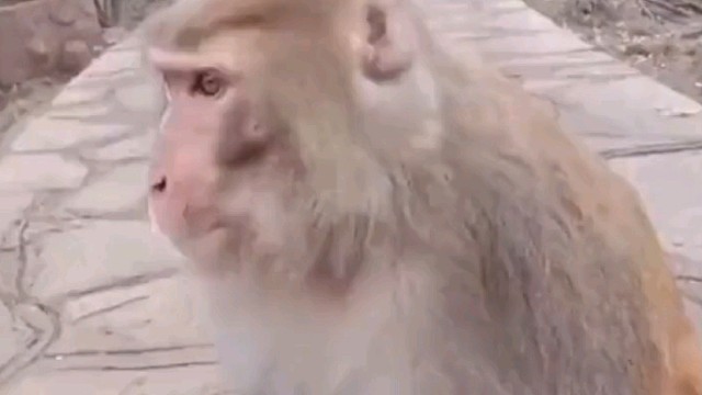 估计他干了他一辈子最爽一件事