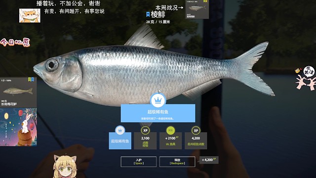 22图–世界纪录蓝冠棱鲱（84星）