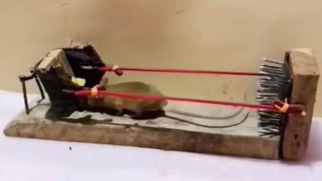 人类智慧是无穷的哈哈哈