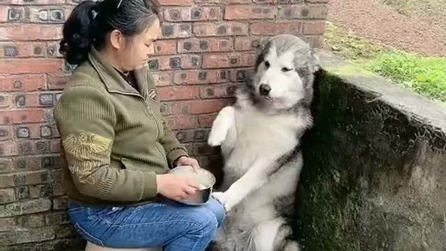 奶奶不能让你吃好，但绝对可以让你吃饱