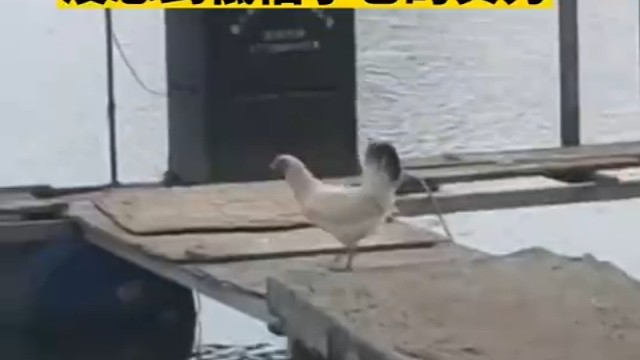 潜力都是被逼出来