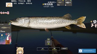 24圖–水塘世界記錄表水星狗，19k引線拉了5分鐘沒咬斷？