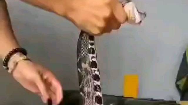 这蛇毒泡酒是真补么？有人敢喝？