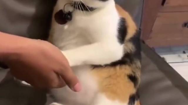 “先生，请你自重好吗”